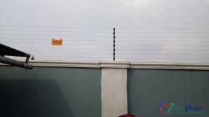 93013_img2.jpg